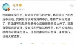 综艺爆料剧本大全最新,揭秘幕后真相，明星幕后故事大揭秘