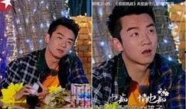 郑恺陈赫最新爆料,揭秘娱乐圈幕后真相